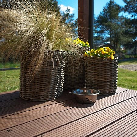 Westfalowachatka Domek Z Jacuzzi Sasino Eksteriør billede